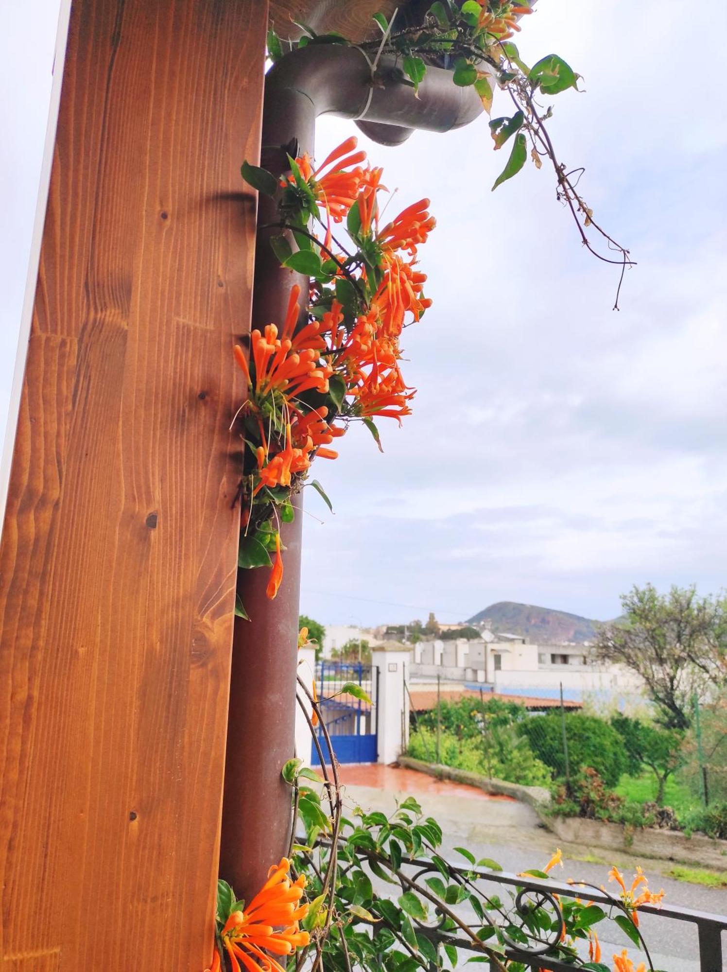 Holiday Home Mennulita Lipari  Luaran gambar